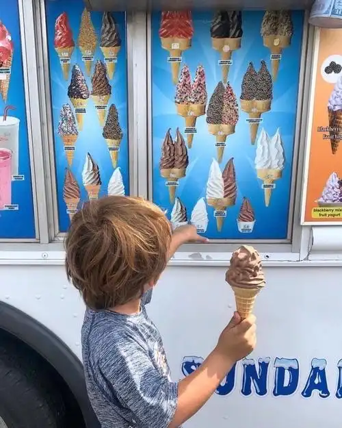 6686体育官网官方作者紫色蒲公英