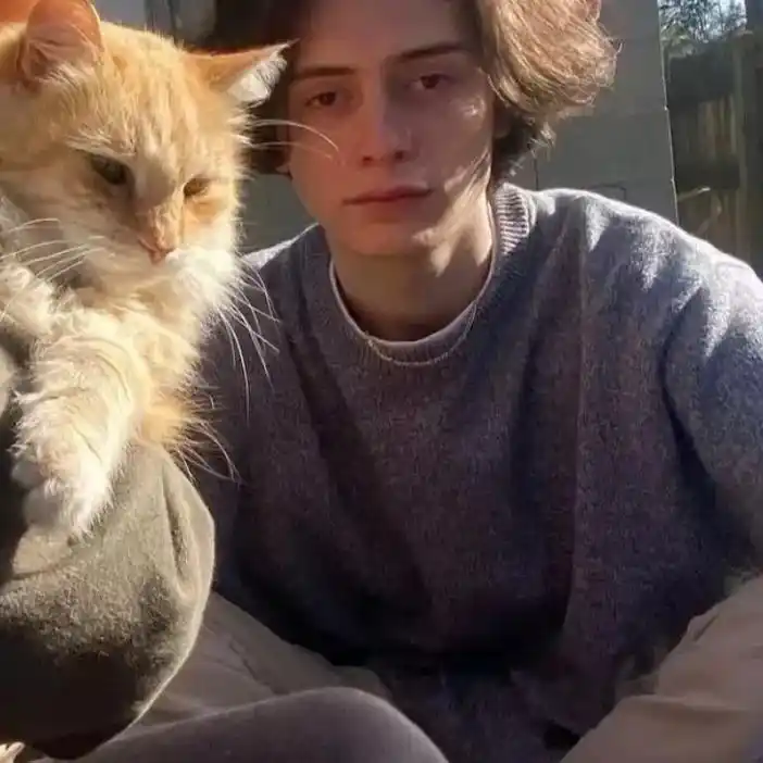 6686体育官网金牌作者专属的成见