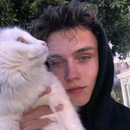 6686体育官网首席作者Alfie