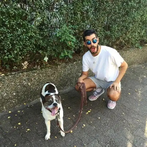 6686体育官网特邀作者鲨勒巴基