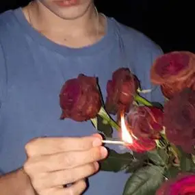 6686体育官网初级作者Noah