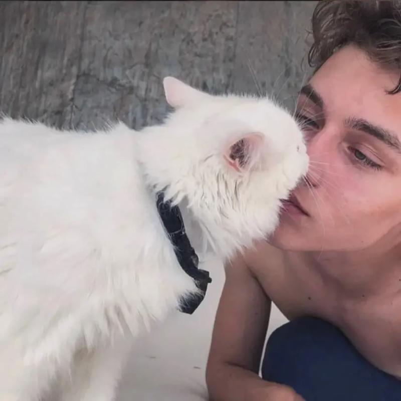 6686体育官网银牌作者纤尘