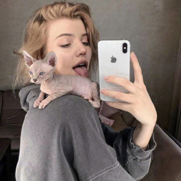 6686体育官网铁牌作者Paul