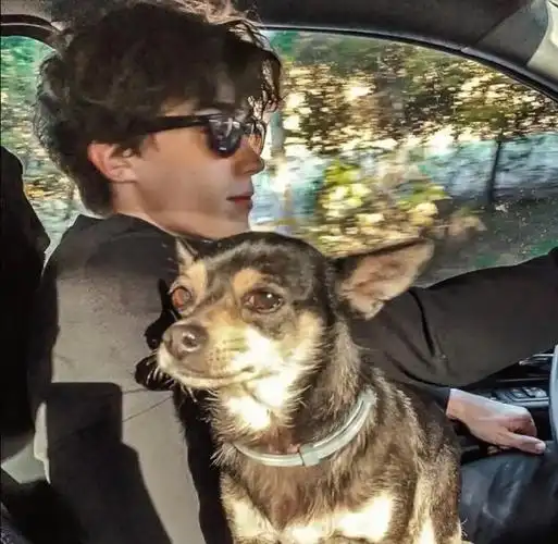 6686体育官网官方作者无名先生