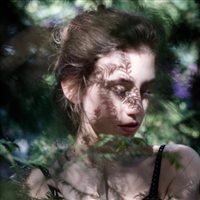 6686体育官网海外作者Coral