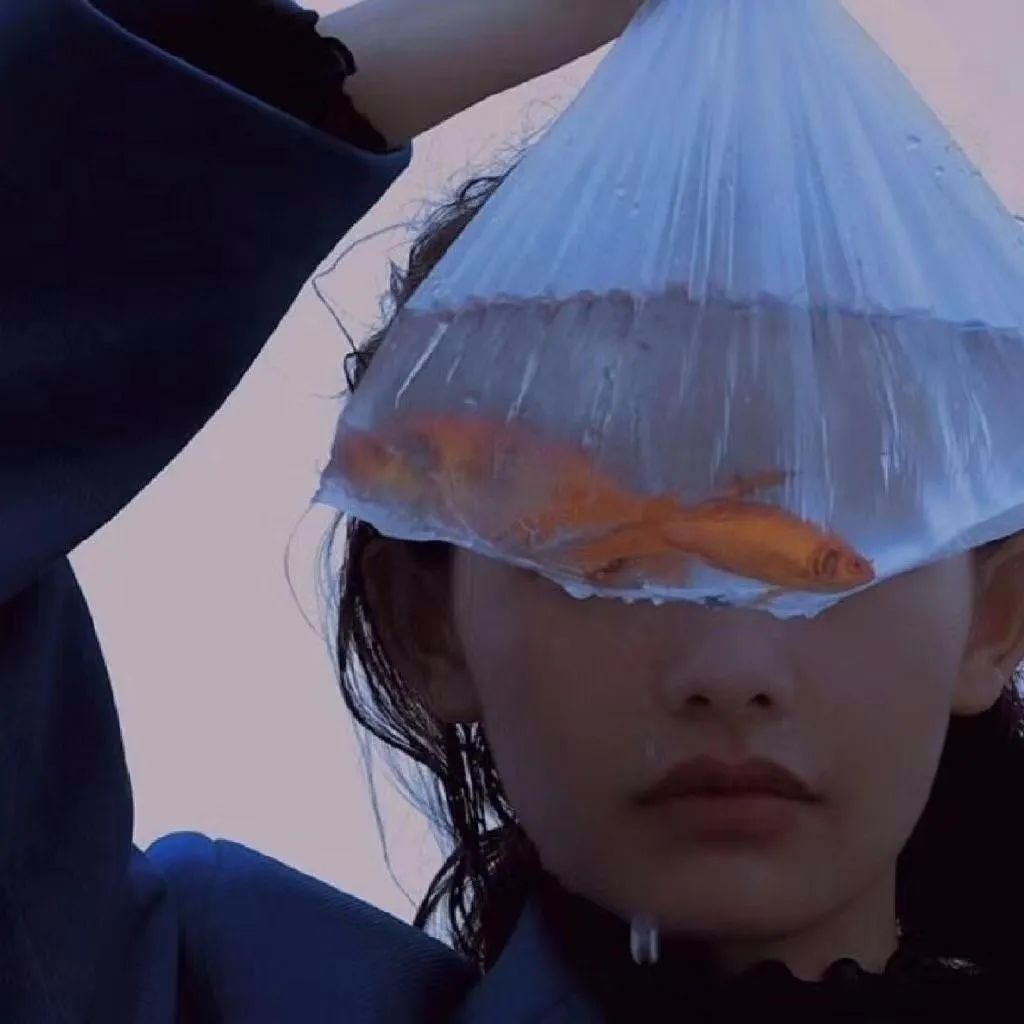 6686体育官网铜牌作者Bob