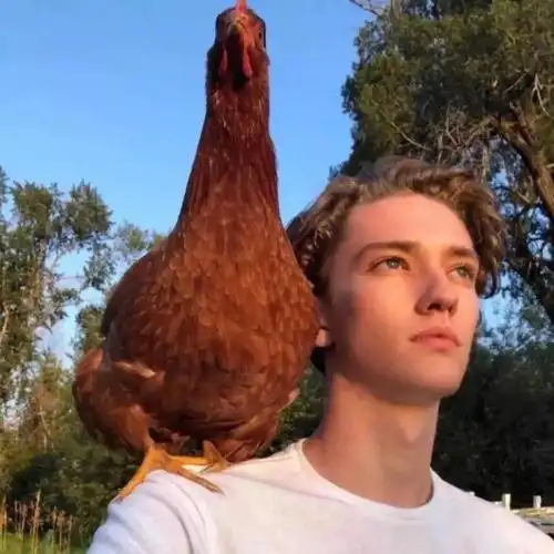 6686体育官网海外作者Raymond