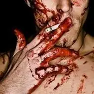 6686体育官网特邀作者Stella