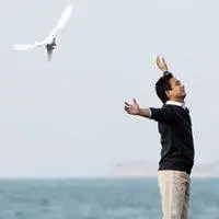 6686体育官网铁牌作者Paul