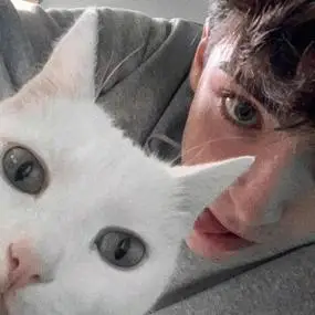 6686体育首席作者Amelia